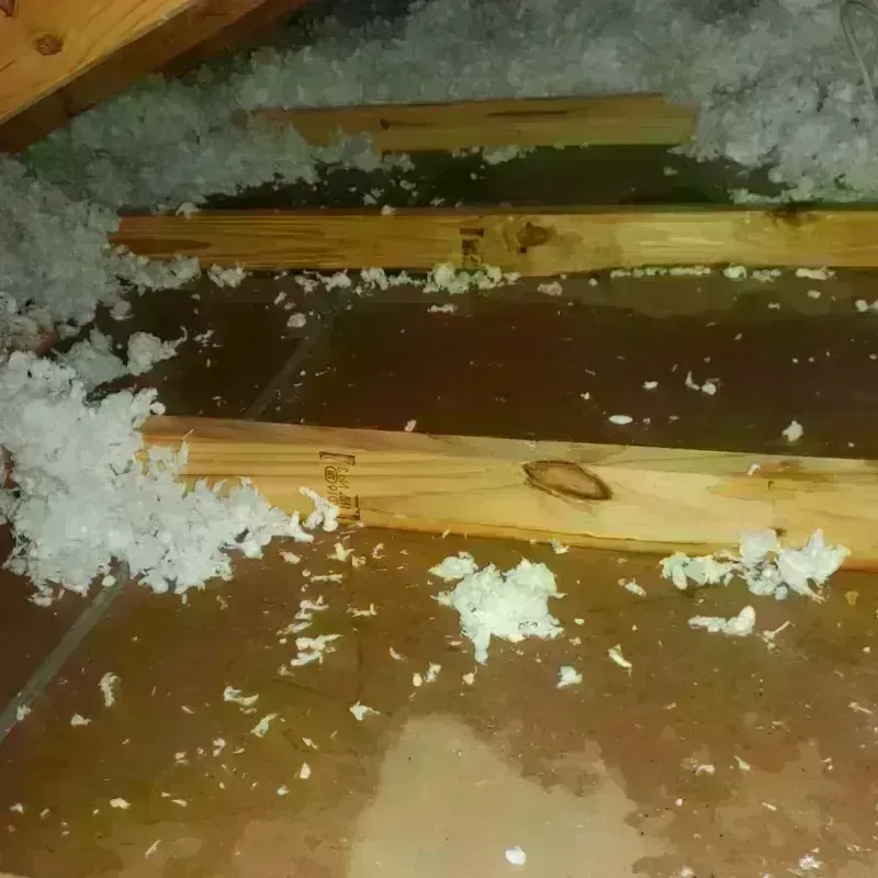 Attic Water Damage in Goochland County, VA